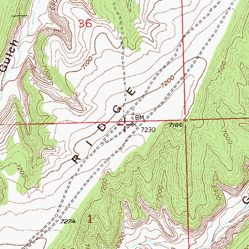 Topographic Map of Wagonroad Ridge, CO