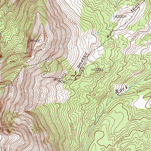 Topographic Map of Grassy Run Trail, CO