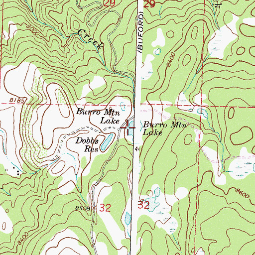 Topographic Map of Burro Mountain Lake, CO