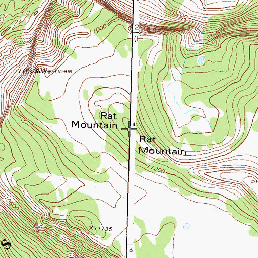 Topographic Map of Rat Mountain, CO