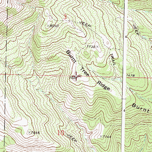 Topographic Map of Burnt Tree Ridge, CO