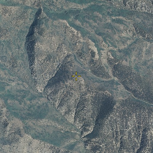 Aerial/Satellite Image of Burnt Tree Ridge, CO