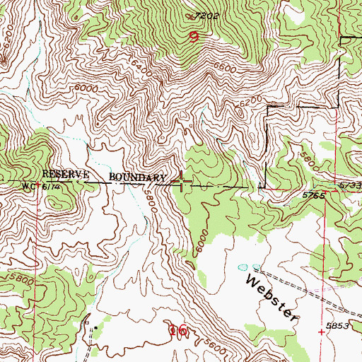 Topographic Map of Webster Mesa, CO