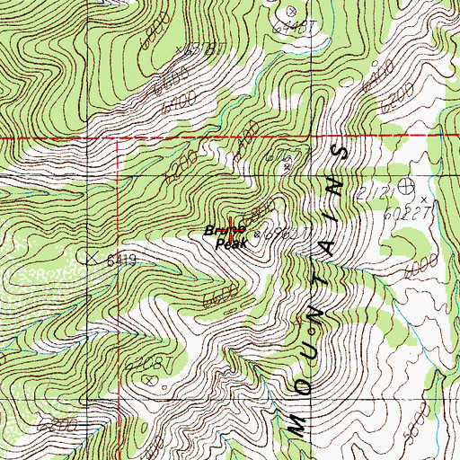 Topographic Map of Bruno Peak, AZ