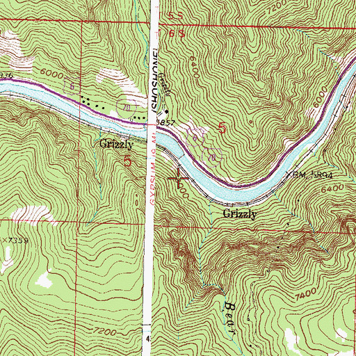 Topographic Map of Grizzly, CO