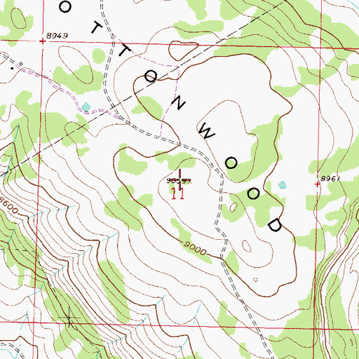 Topographic Map of Cottonwood Divide, CO