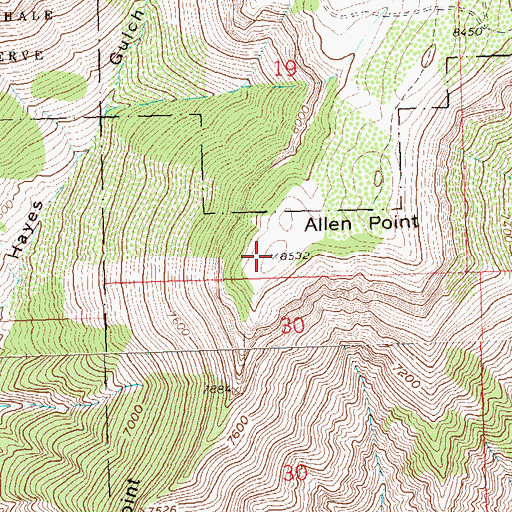 Topographic Map of Allen Point, CO