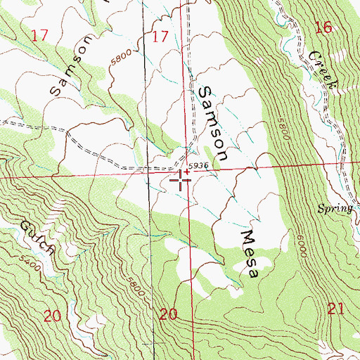 Topographic Map of Samson Mesa, CO
