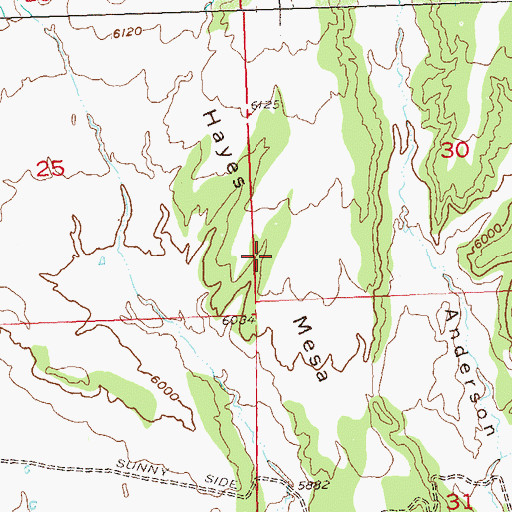 Topographic Map of Hayes Mesa, CO