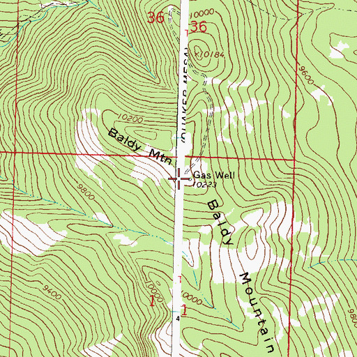 Topographic Map of Baldy Mountain, CO