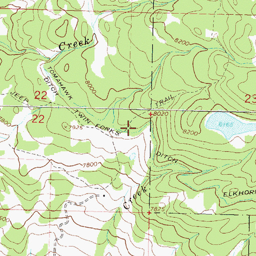 Topographic Map of Twin Forks Ditch, CO