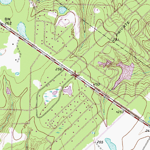 Topographic Map of Central Baptist Church Magnolia Church, TX