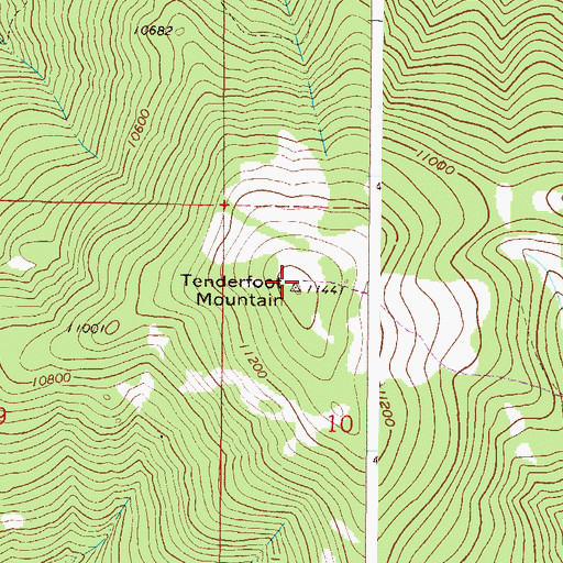 Topographic Map of Tenderfoot Mountain, CO