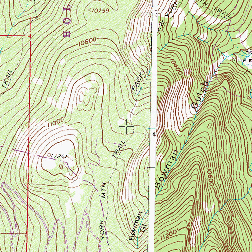 Topographic Map of New York Mountain Trail, CO