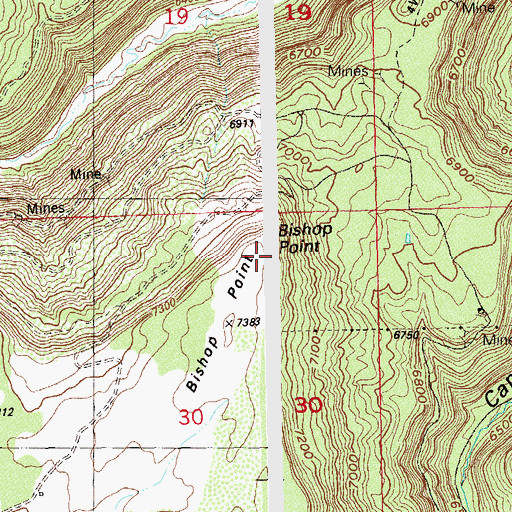 Topographic Map of Bishop Point, CO