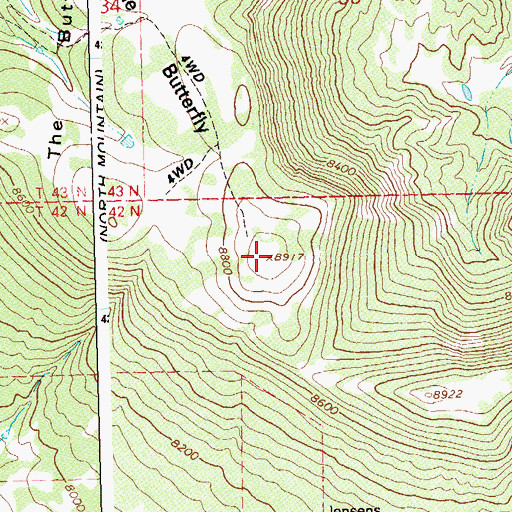 Topographic Map of The Butterfly, CO