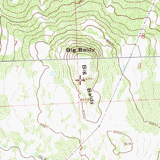 Topographic Map of Big Baldy, CO
