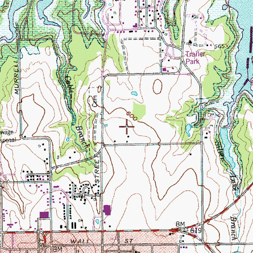 Topographic Map of The Church of Jesus Christ of Latter Day Saints, TX