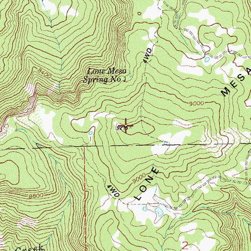 Topographic Map of Lone Mesa, CO