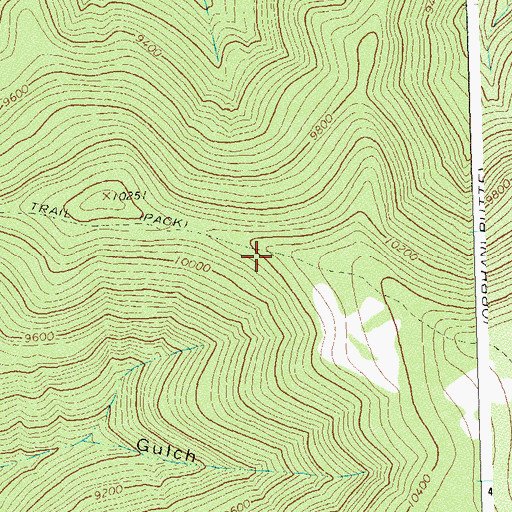 Topographic Map of Little Bear Trail, CO