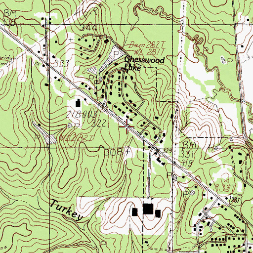 Topographic Map of Our Lady of Pines Catholic Church, TX