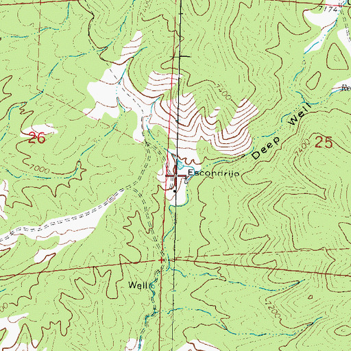 Topographic Map of Escondrijo Windmill, NM