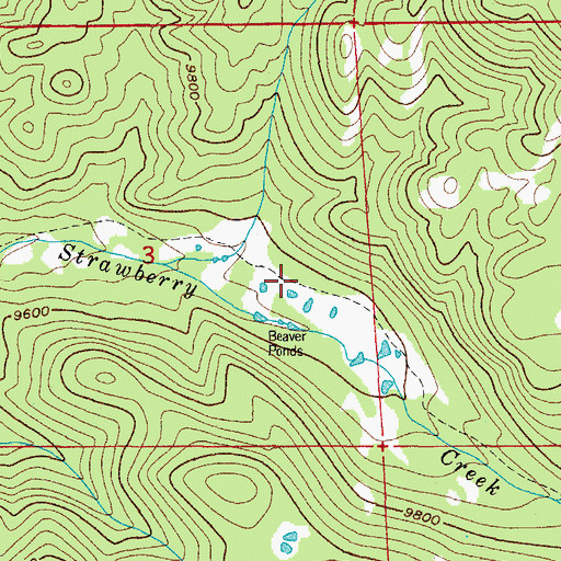 Topographic Map of Caribou Trail, CO