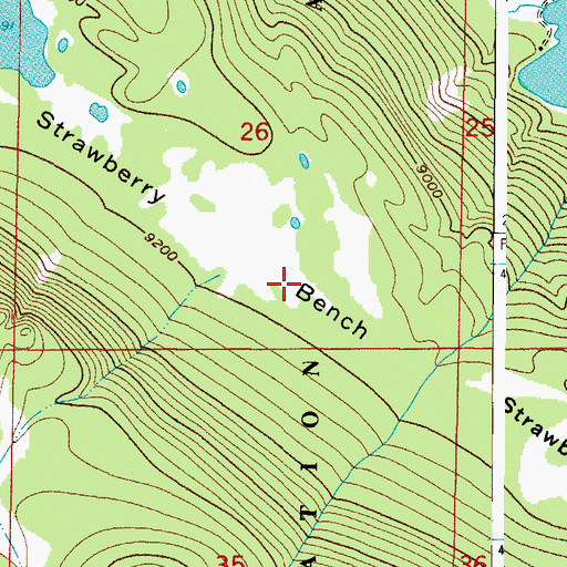 Topographic Map of Strawberry Bench, CO