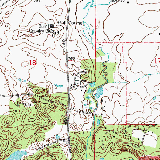 Topographic Map of Hawkins Glen, IL
