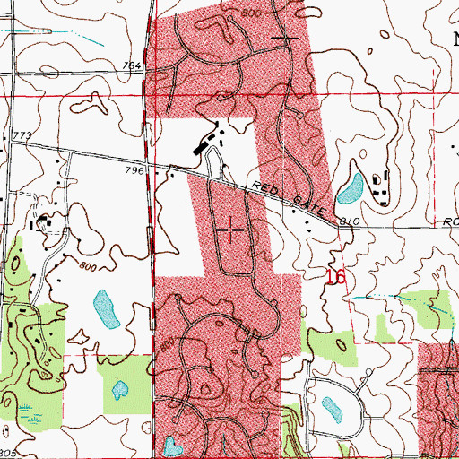 Topographic Map of Longview Estates, IL