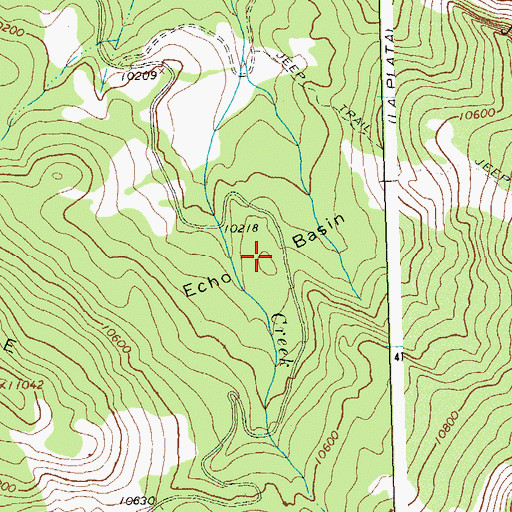 Topographic Map of Echo Basin, CO
