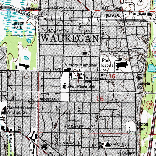 Topographic Map of Saint Anastasia Roman Catholic Church, IL