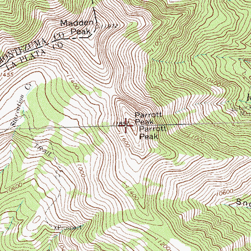 Topographic Map of Parrott Peak, CO