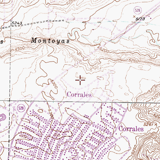 Topographic Map of Leon Grande Park, NM
