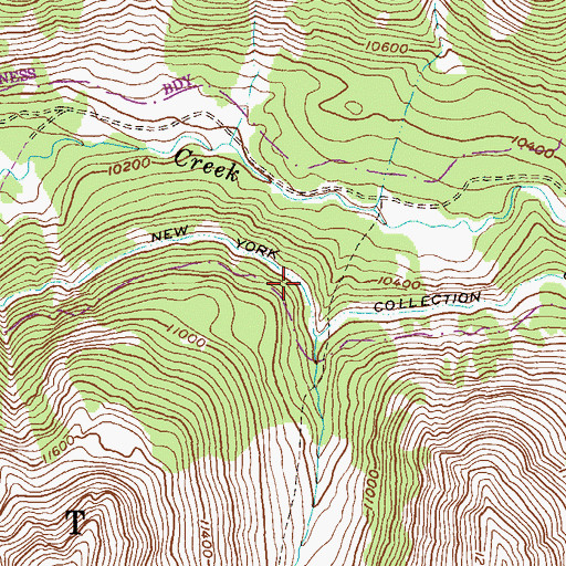 Topographic Map of New York Collection Canal, CO