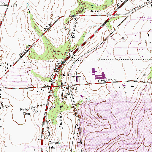 Topographic Map of Wildcat-Ram Stadium, TX