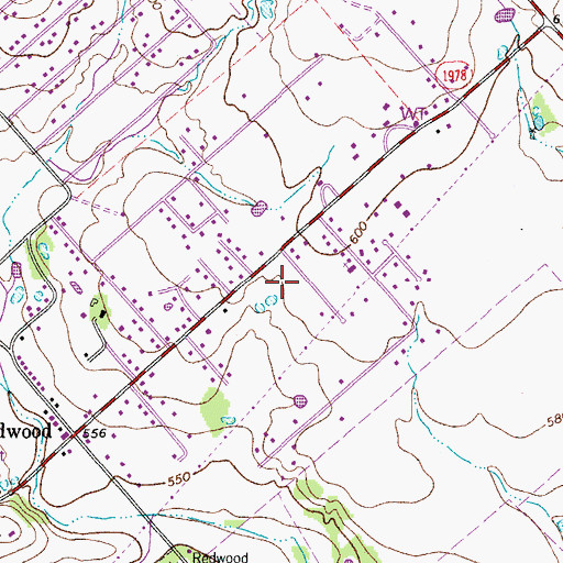 Topographic Map of Redwood Arena, TX