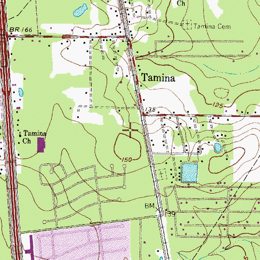 Topographic Map of Leonard George Stadium, TX
