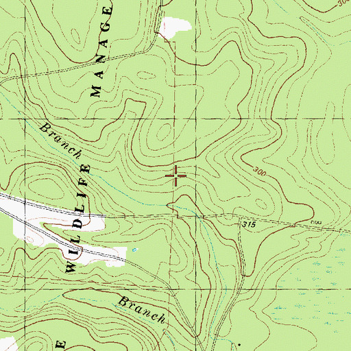 Topographic Map of Gus Engeling Wildlife Management Area, TX