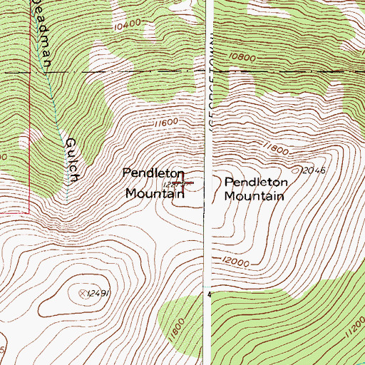 Topographic Map of Pendleton Mountain, CO