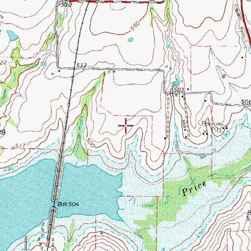 Topographic Map of Cottonwood Park, TX