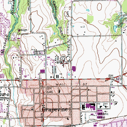 Topographic Map of Cluck Park, TX