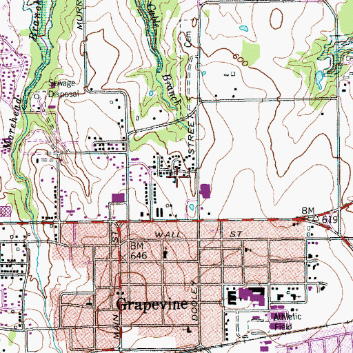 Topographic Map of Cluck Park, TX