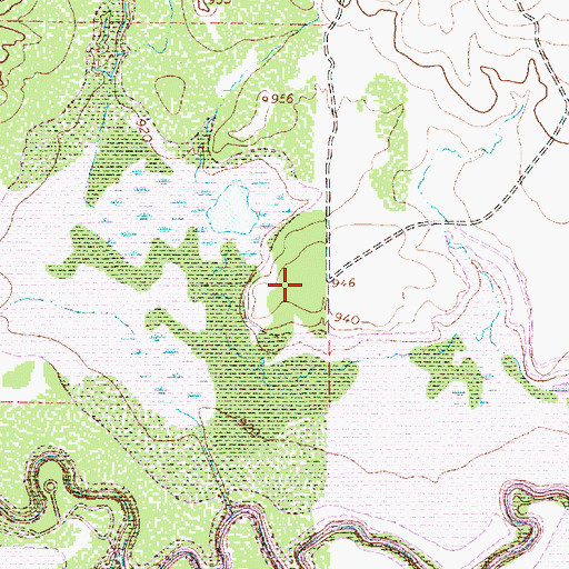 Topographic Map of Big Tree Park, TX