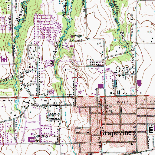 Topographic Map of Banyan Park, TX