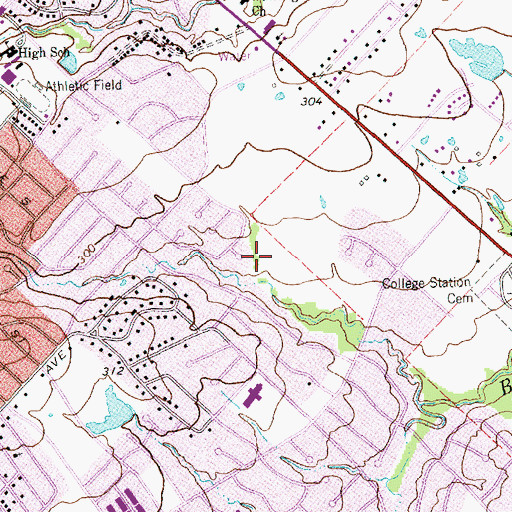 Topographic Map of Lemon Tree Park, TX