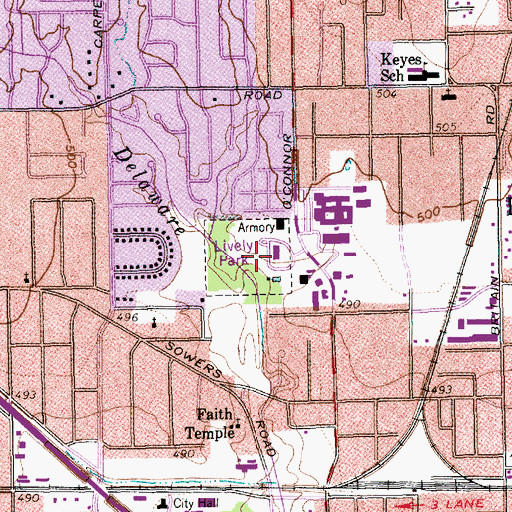 Topographic Map of Lively Park, TX