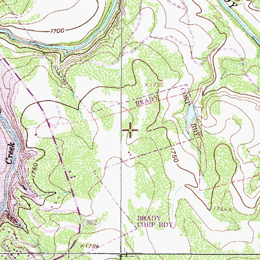 Topographic Map of Lake Brady Park, TX