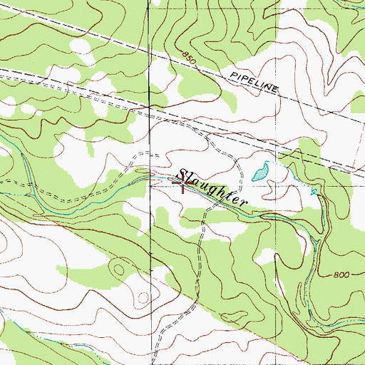 Topographic Map of Slaughter Creek Metropolitan Park, TX