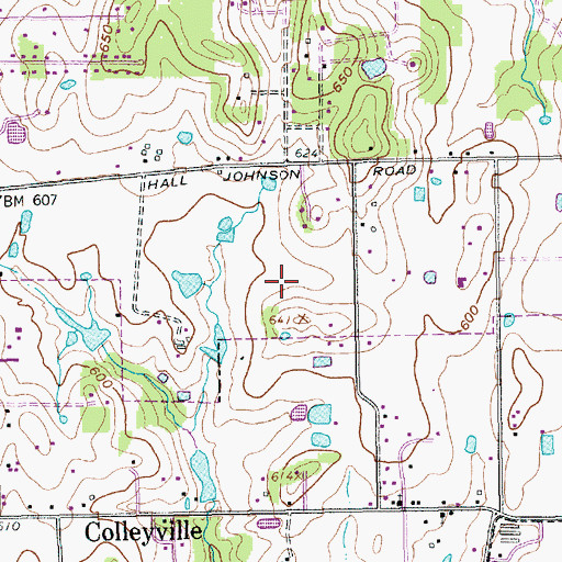 Topographic Map of Pecan Park, TX